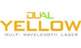 dual-yellow